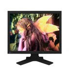 Eizo FlexScan 21.3 inch LCD (L997-K)